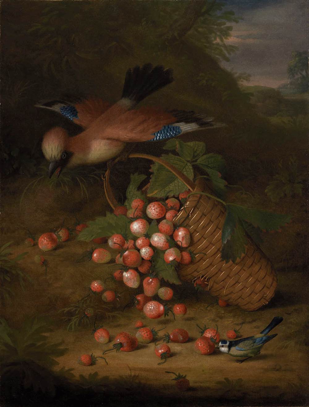 Un geai avec un panier de fraises