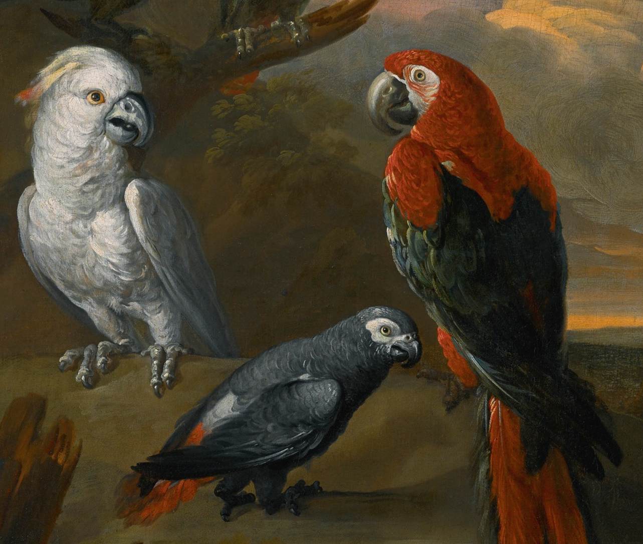 Perroquets dans un vaste paysage boisé (détail)
