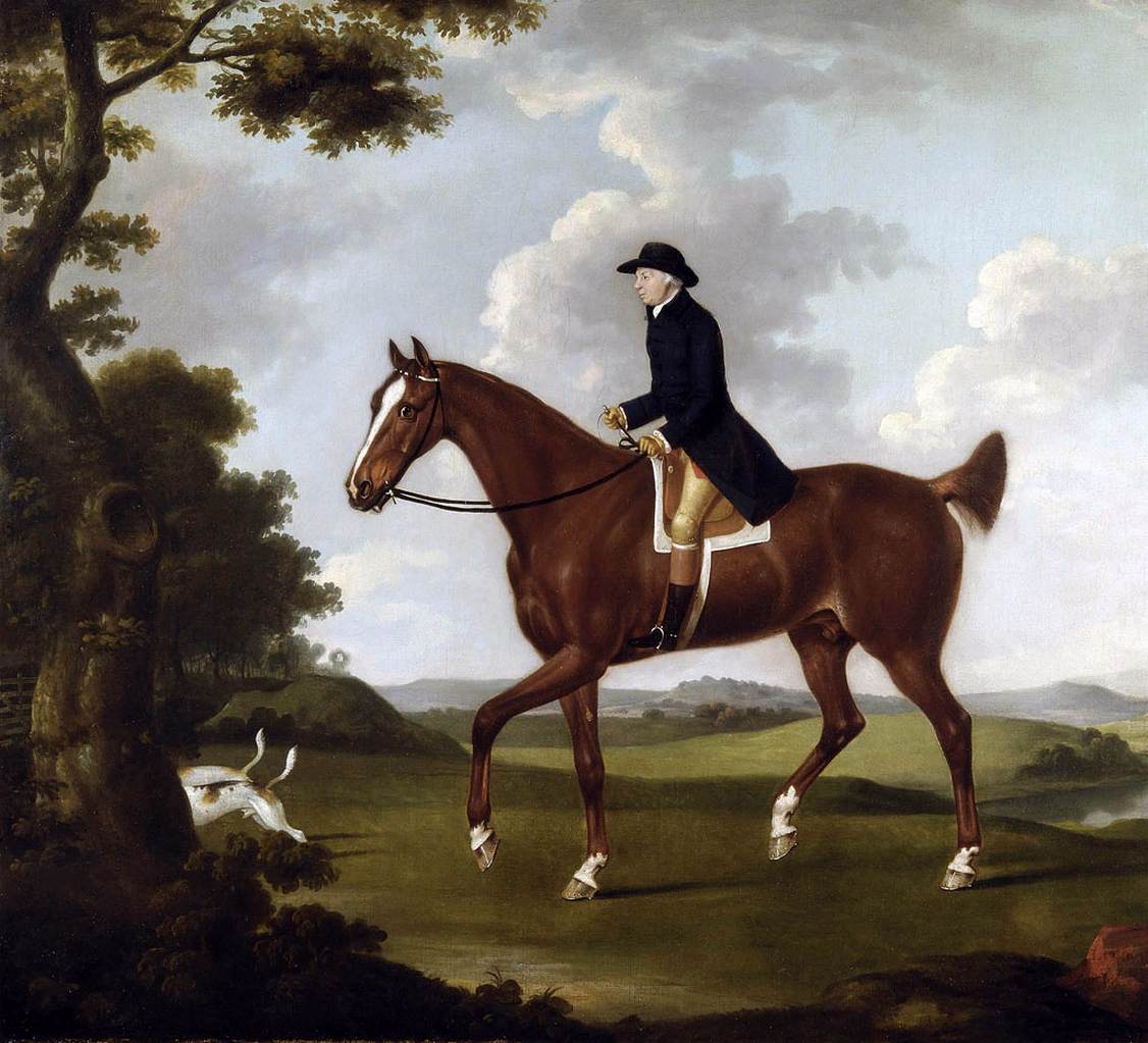 Un gentleman sur son cheval alezan