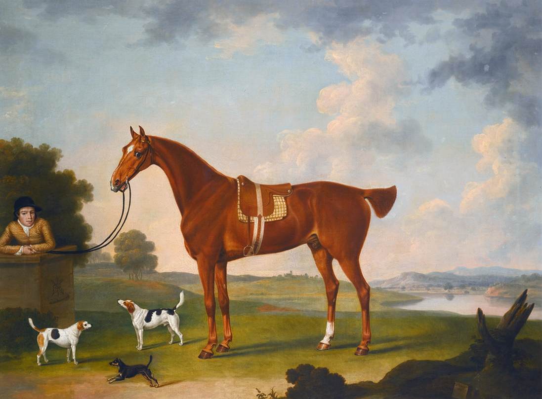 Cheval alezan de chasse et son palefrenier