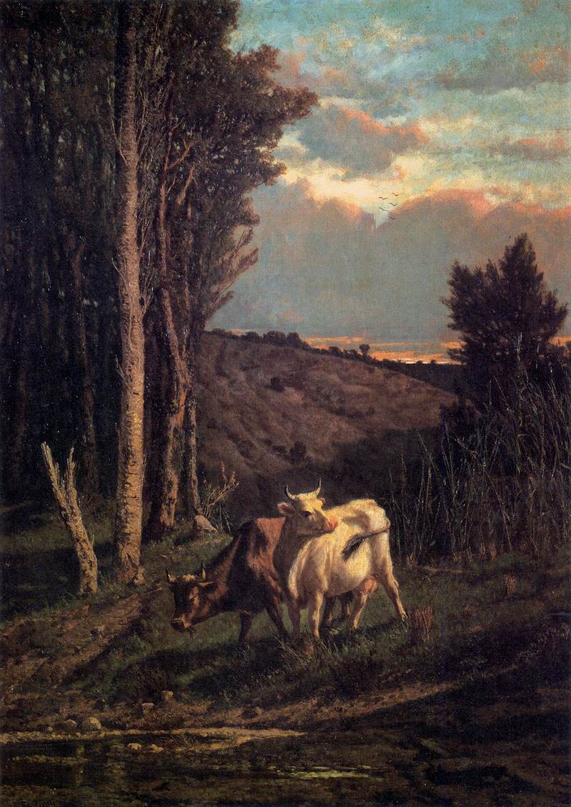 Une pâture
