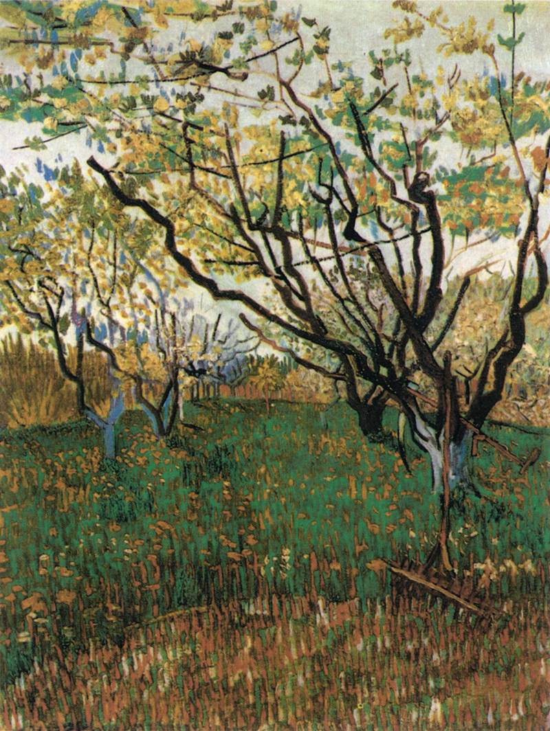 Verger en fleurs