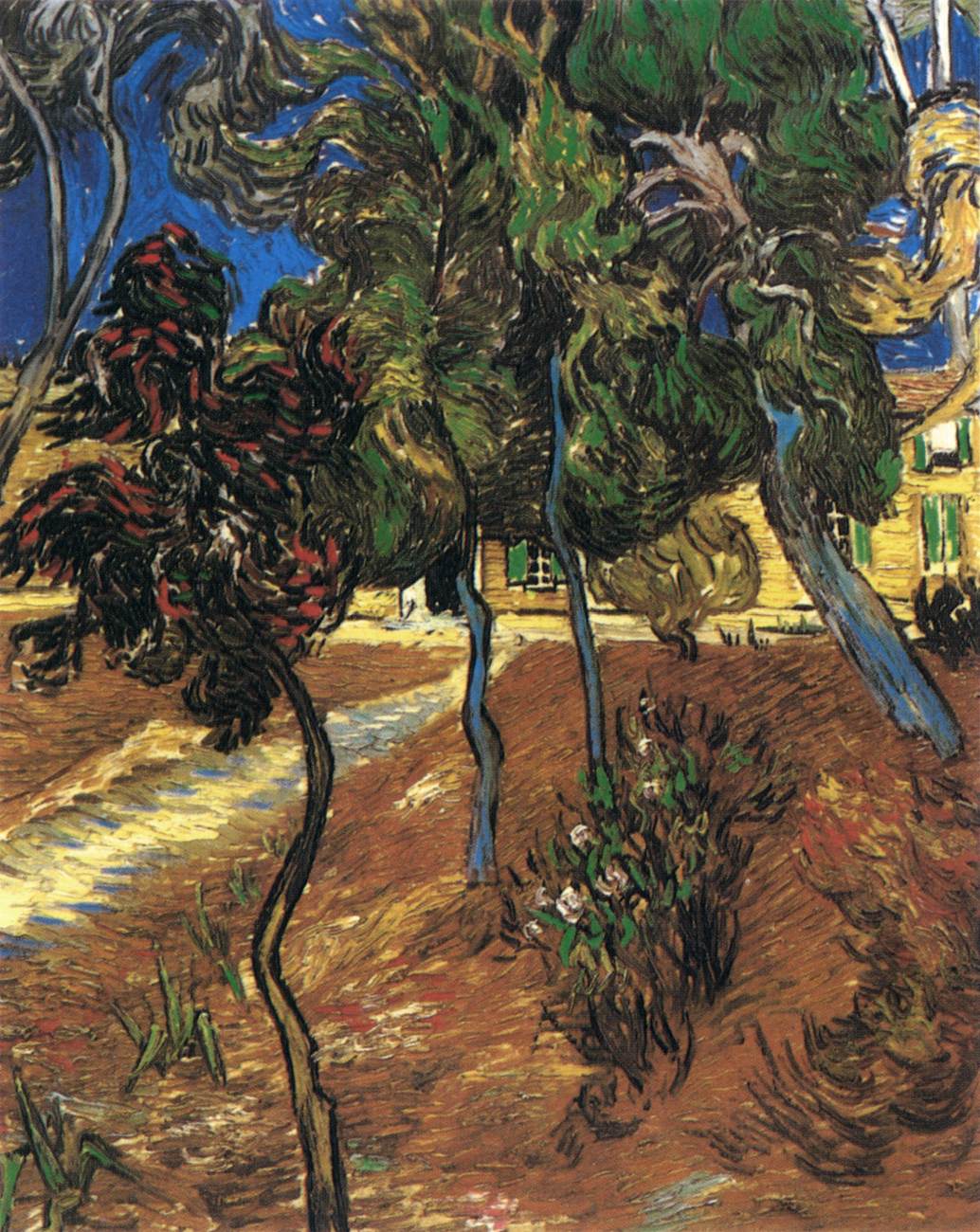 Arbres dans le jardin de l'hôpital Saint-Paul