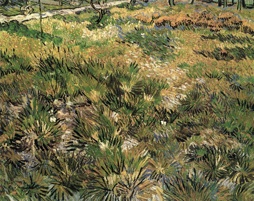 Prairie dans le jardin de l'hôpital Saint-Paul
