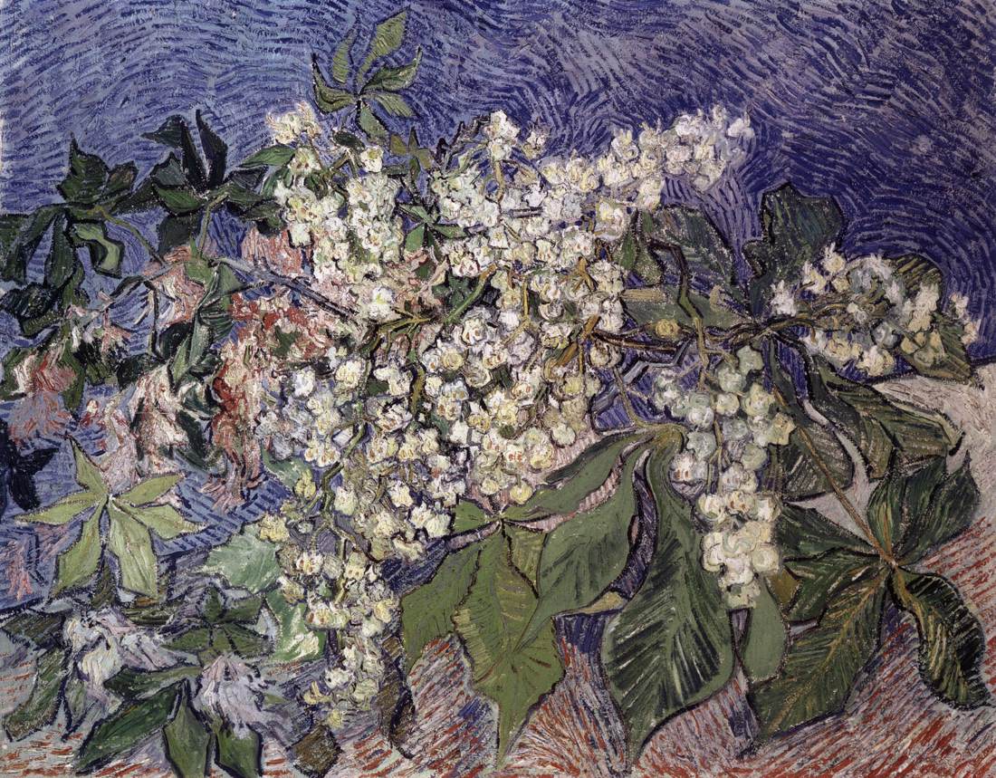 Branches de marronnier en fleurs dans un vase