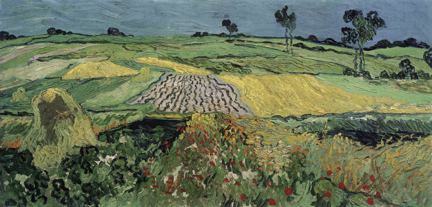 Champs de blé : la plaine d'Auvers