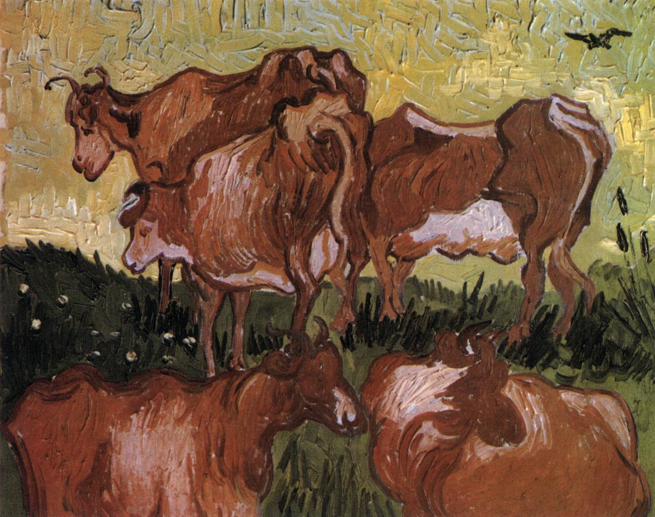 Vaches (d'après Jordaens)