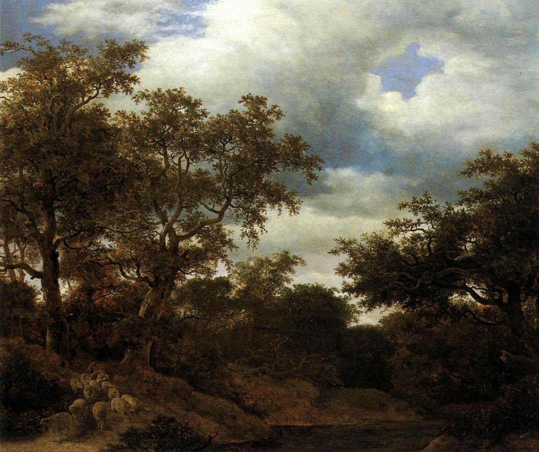 Bois de chênes avec eau stagnante