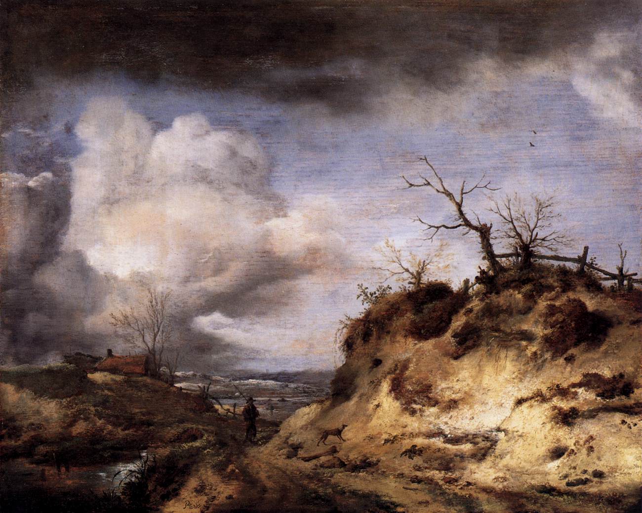 Sentier à travers les dunes