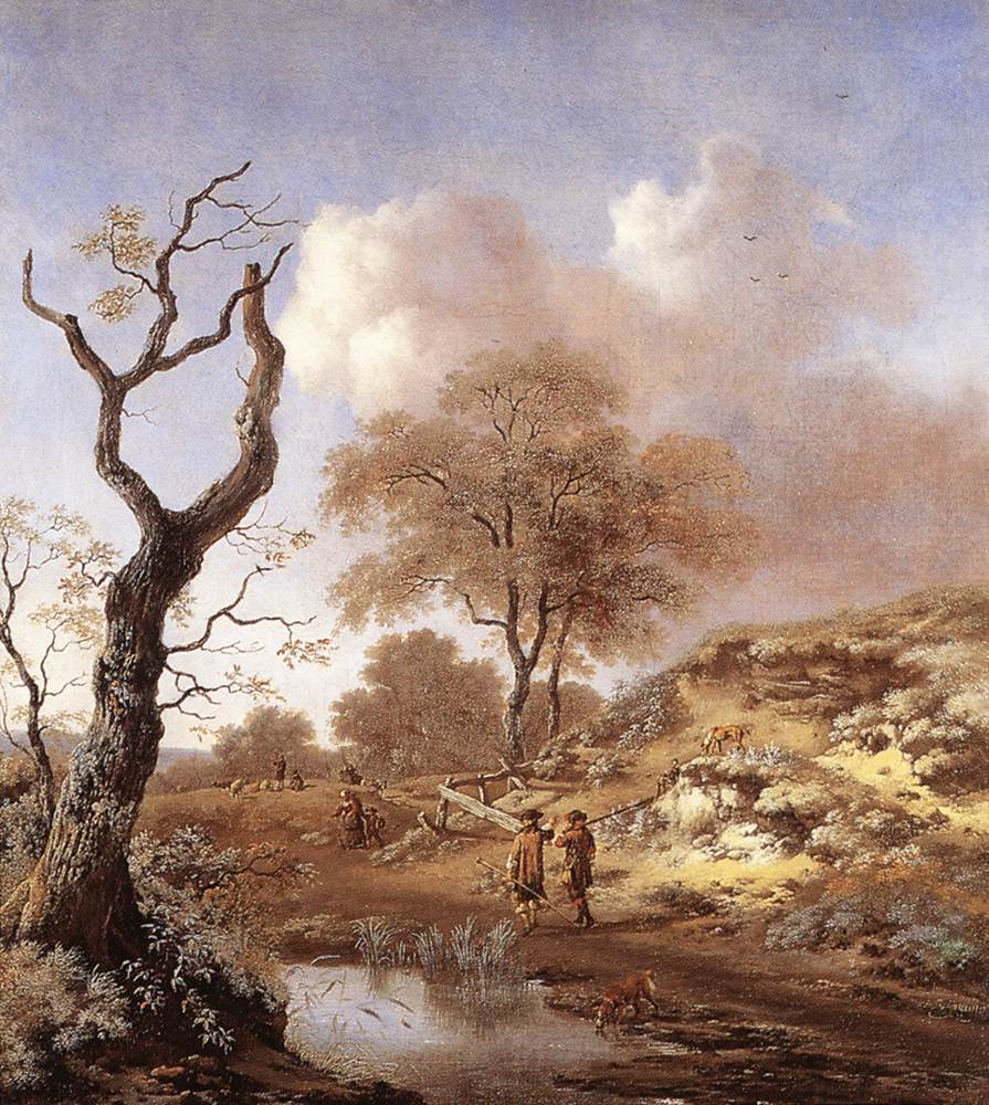 Un paysage vallonné