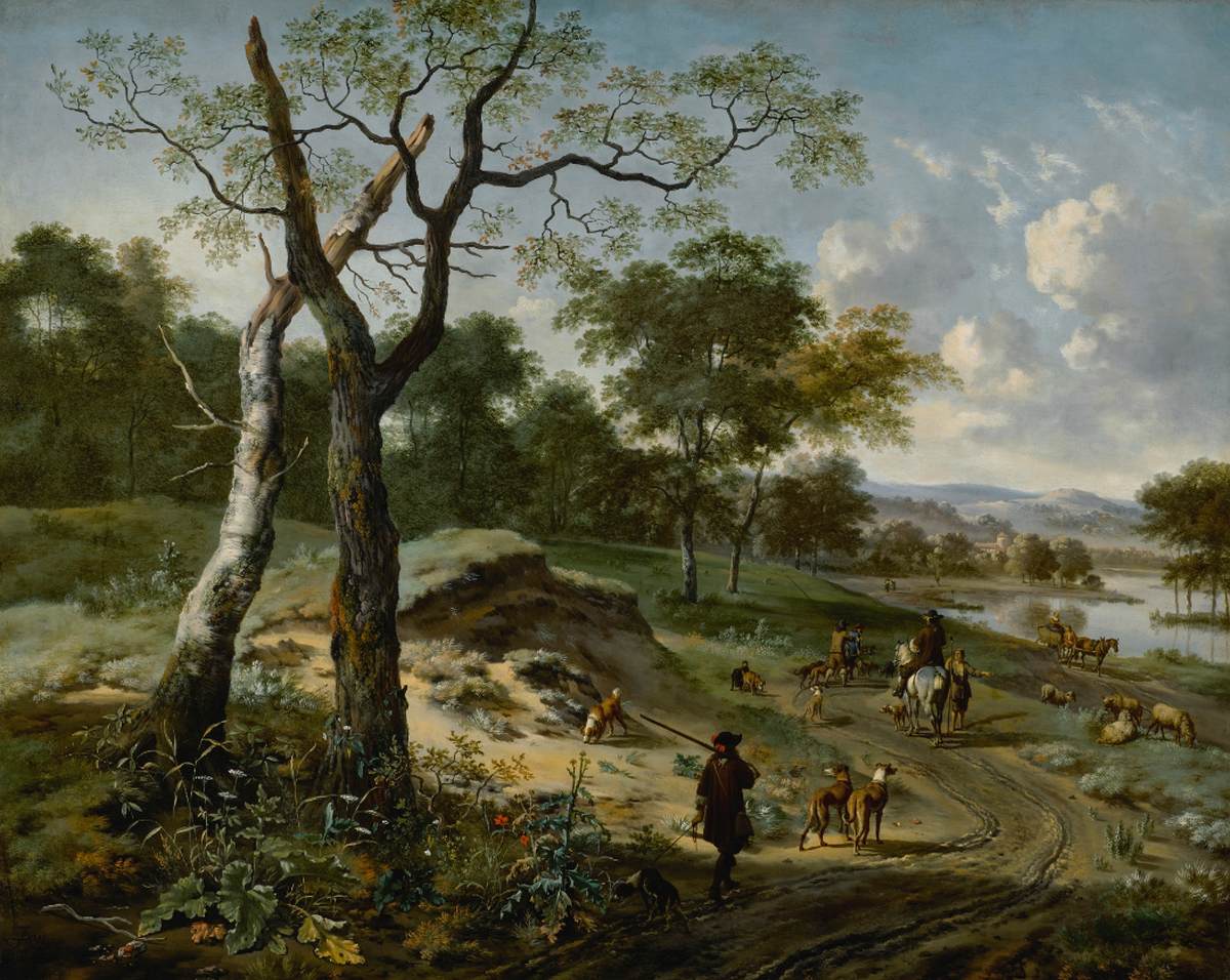 Paysage boisé du soir