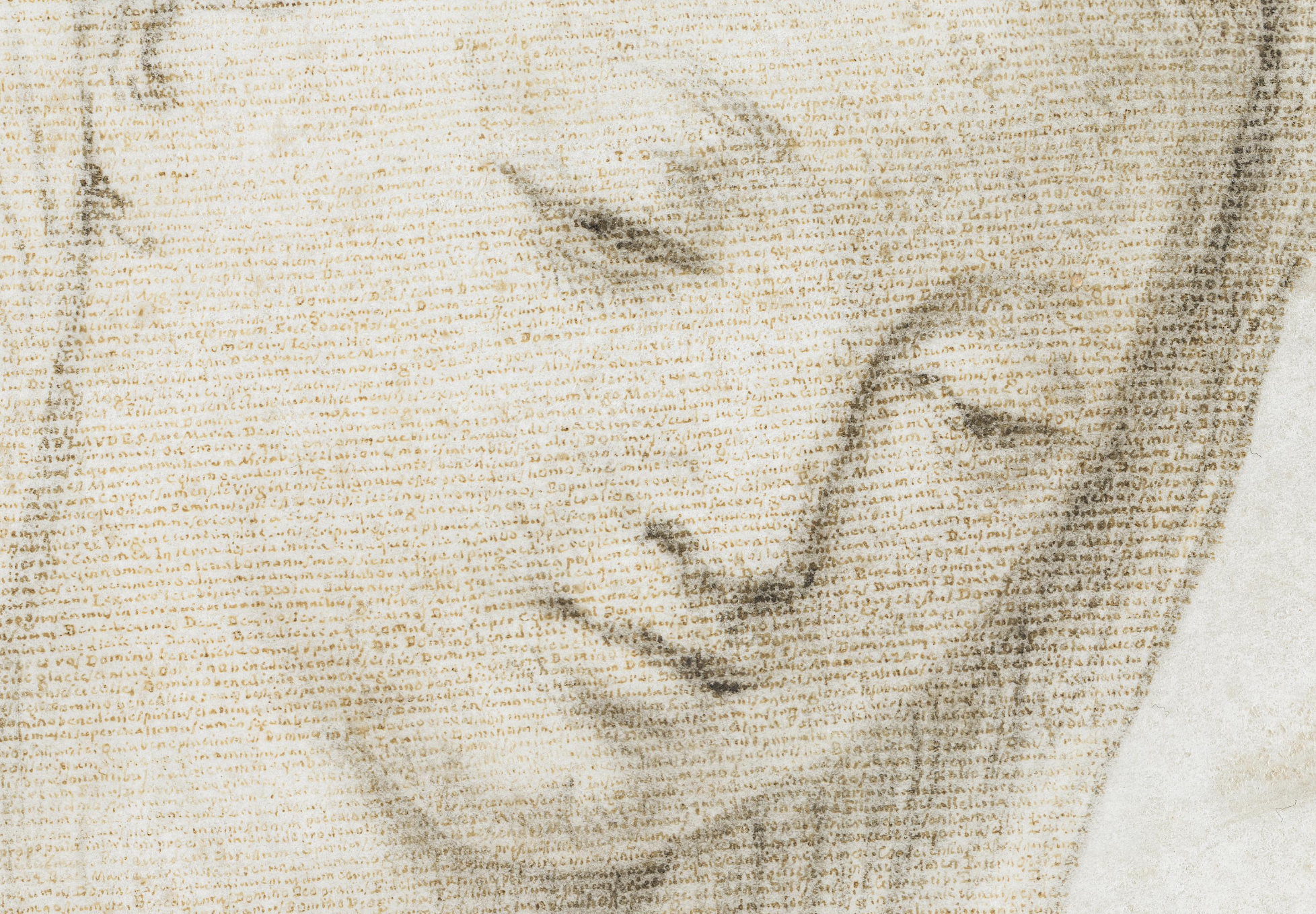 Detail de la micrographie de Muligino