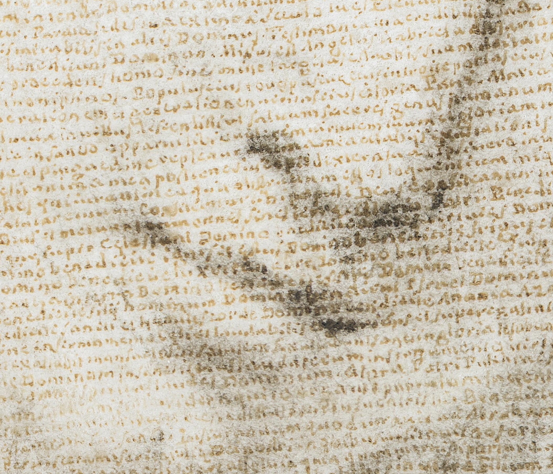 Second detail de la micrographie de Muligino